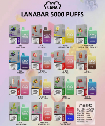 LANA拋棄式5000口✨大容量BAR電子煙🔥/TYPE-C充電 一次性電子煙-VAKA糖果雲煙館