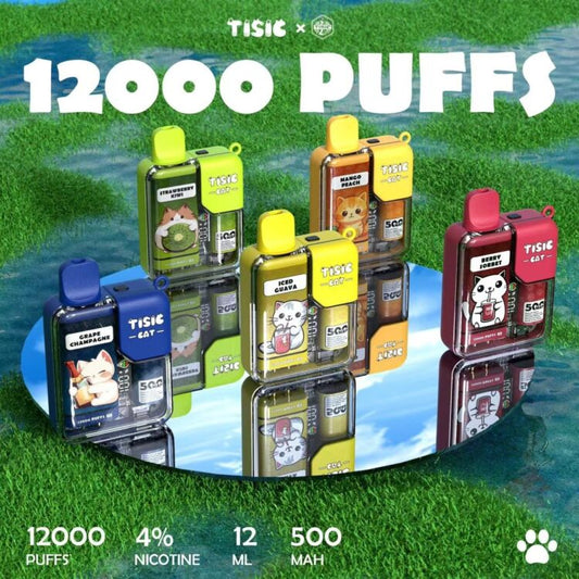 TISIC 貓咪 12000 Puffs 拋棄式電子煙｜大容量一次性主機｜智能顯示螢幕｜Type-C快充長續航電子煙-VAKA糖果雲煙館